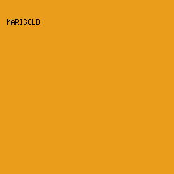 E99D1B - Marigold color image preview