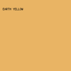 E9B464 - Earth Yellow color image preview