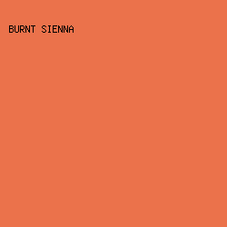 EB724B - Burnt Sienna color image preview