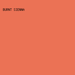 EB7255 - Burnt Sienna color image preview