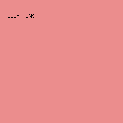 EB8D8D - Ruddy Pink color image preview