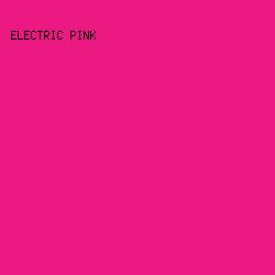 EC1982 - Electric Pink color image preview