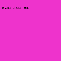EE33CC - Razzle Dazzle Rose color image preview
