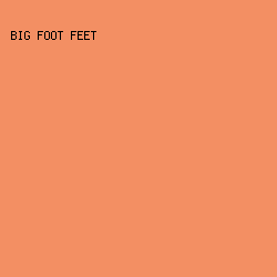 F38F63 - Big Foot Feet color image preview