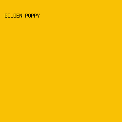 F9C104 - Golden Poppy color image preview