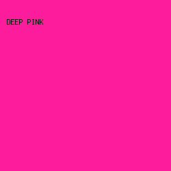 FD1C9B - Deep Pink color image preview