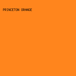 FF851D - Princeton Orange color image preview