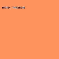 FF945E - Atomic Tangerine color image preview