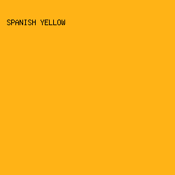FFB316 - Spanish Yellow color image preview