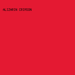 E41932 - Alizarin Crimson color image preview