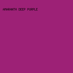 9d2176 - Amaranth Deep Purple color image preview