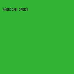 33b333 - American Green color image preview