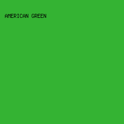 34b333 - American Green color image preview