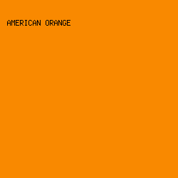 f98900 - American Orange color image preview