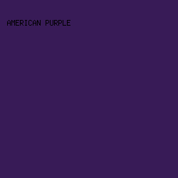 381B57 - American Purple color image preview