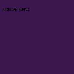 3D174F - American Purple color image preview