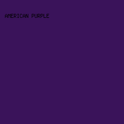 3a135a - American Purple color image preview