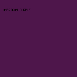 4e164b - American Purple color image preview