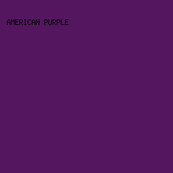 53165f - American Purple color image preview
