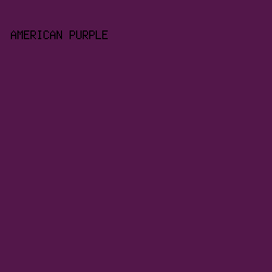 53174a - American Purple color image preview