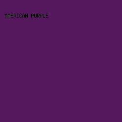 55185D - American Purple color image preview