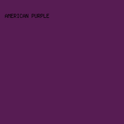 571C53 - American Purple color image preview
