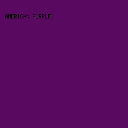 59095f - American Purple color image preview