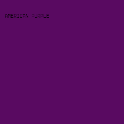 590A61 - American Purple color image preview