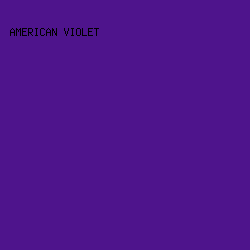 4e148c - American Violet color image preview
