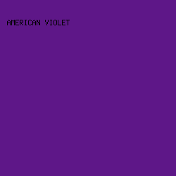5E1788 - American Violet color image preview