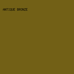 726016 - Antique Bronze color image preview