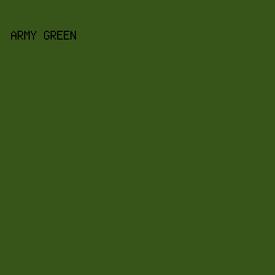 375519 - Army Green color image preview