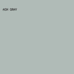 B0BAB7 - Ash Gray color image preview