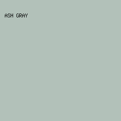 B2C1B9 - Ash Gray color image preview