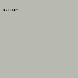 B9BAAF - Ash Gray color image preview