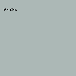 acb8b6 - Ash Gray color image preview