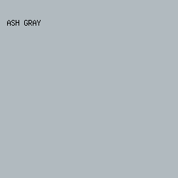 b1babf - Ash Gray color image preview