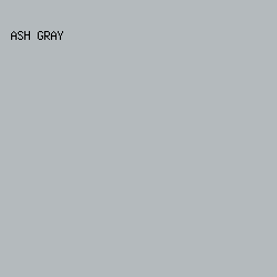 b4babd - Ash Gray color image preview