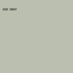 bbbfaf - Ash Gray color image preview