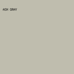 bebdae - Ash Gray color image preview