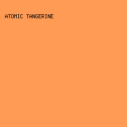 FF9B55 - Atomic Tangerine color image preview