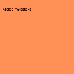 ff9156 - Atomic Tangerine color image preview
