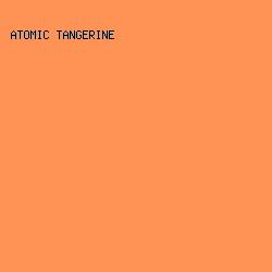 ff9356 - Atomic Tangerine color image preview