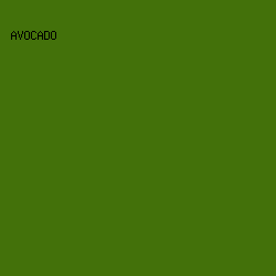 43710A - Avocado color image preview