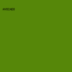 568709 - Avocado color image preview