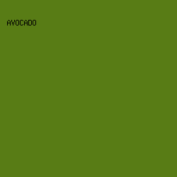 587C15 - Avocado color image preview
