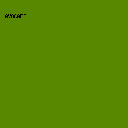 588800 - Avocado color image preview