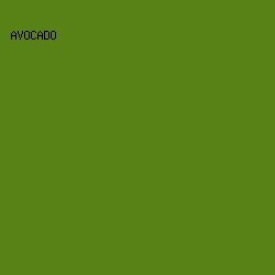 598216 - Avocado color image preview