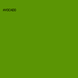 5B9504 - Avocado color image preview