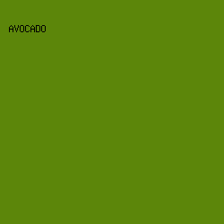 5C860A - Avocado color image preview